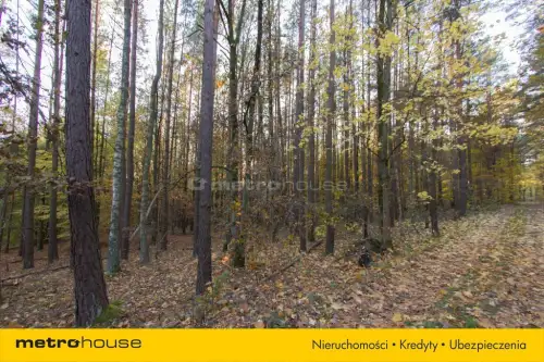 Gwda wielka ,  Szczecinecka   2