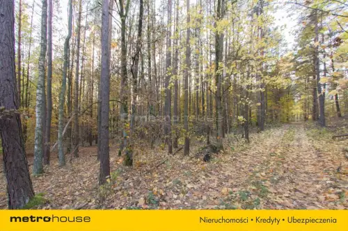 Gwda wielka ,  Szczecinecka   3