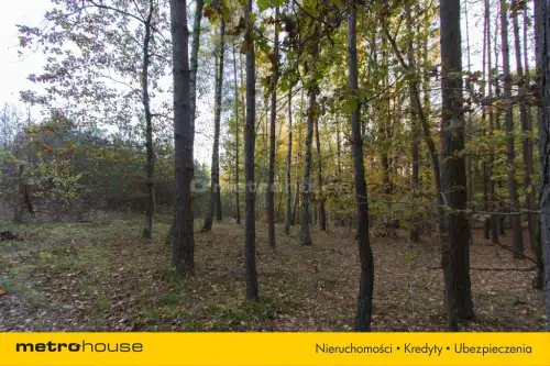 Gwda wielka ,  Szczecinecka   4