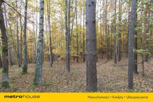 Gwda wielka ,  Szczecinecka   5