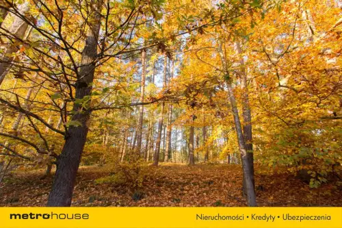 Gwda wielka ,  Szczecinecka   6