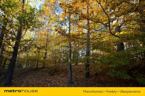 Gwda wielka ,  Szczecinecka   7