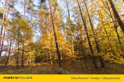 Gwda wielka ,  Szczecinecka   8