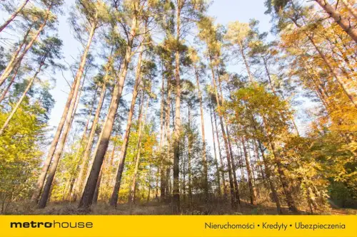 Gwda wielka ,  Szczecinecka   9