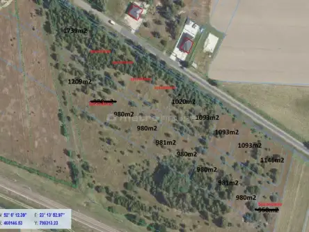 Czosnówka ,  Bialska   8