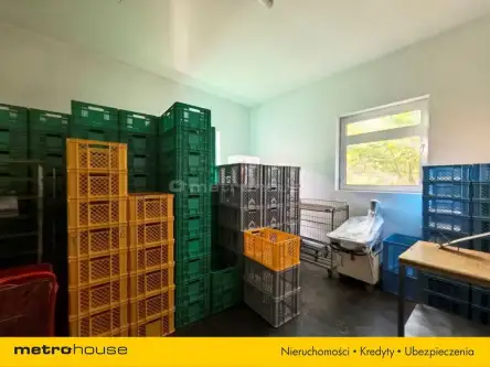 Zielona Góra ,  Naftowa   27