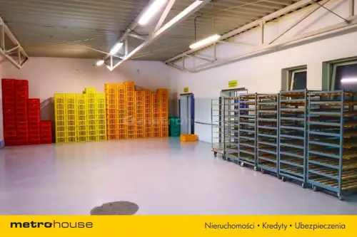 Zielona Góra ,  Naftowa   54