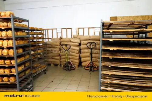 Zielona Góra ,  Naftowa   5