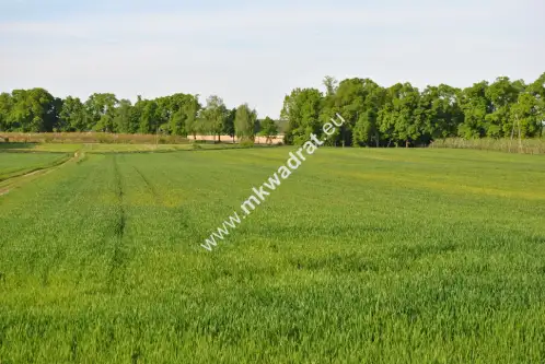  Falenty duże   Mega oferta! mkwadrat.eu 