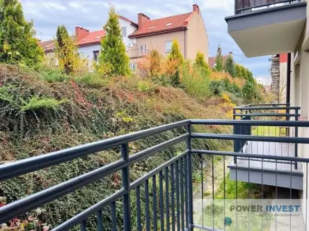 Kraków ,  abp. Zygmunta Szczęsnego Felińskiego   12