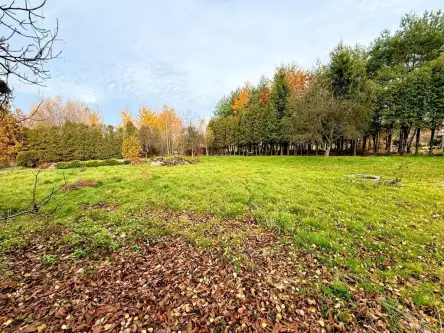 Rybnik ,  Krzywa   4