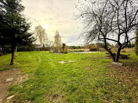 Rybnik ,  Krzywa   5