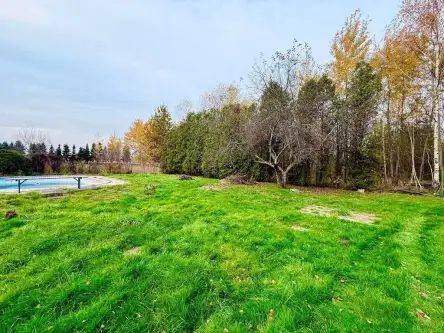 Rybnik ,  Krzywa   8