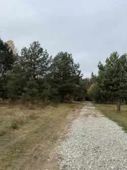 Adamów-wieś ,  Brzozokalska   3