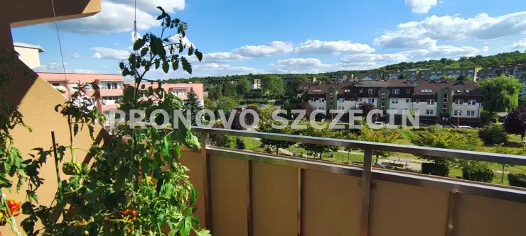 Szczecin ,  Brązowa   34