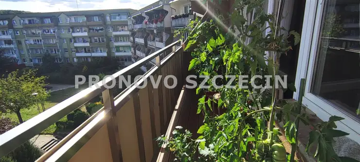 Szczecin ,  Brązowa   36