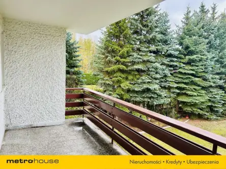 Wilcza góra ,  Żwirowa   8