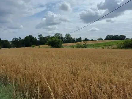 Żukowo ,  Dębowa   7