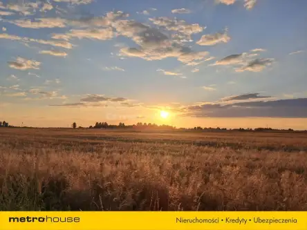 Kolechowice-kolonia   14