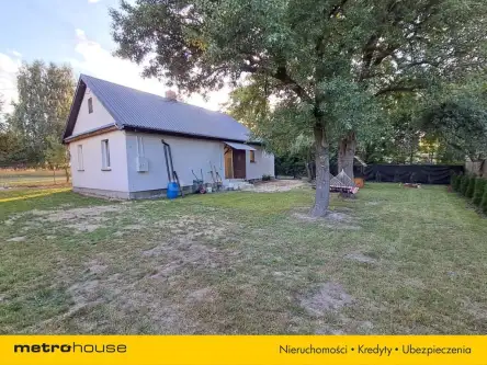 Kolechowice-kolonia   19