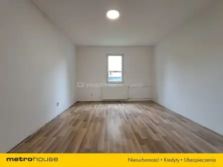 Kolechowice-kolonia   7