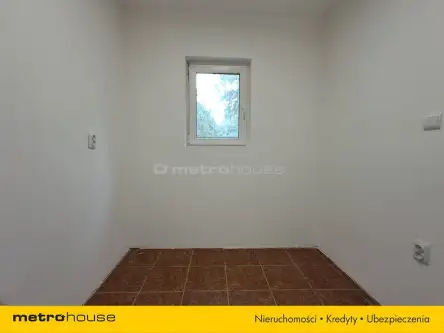 Kolechowice-kolonia   9