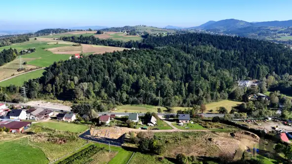 łęka siedlecka   15