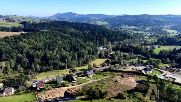 łęka siedlecka   16