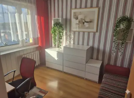 Katowice ,  ks. Piotra Ściegiennego   7