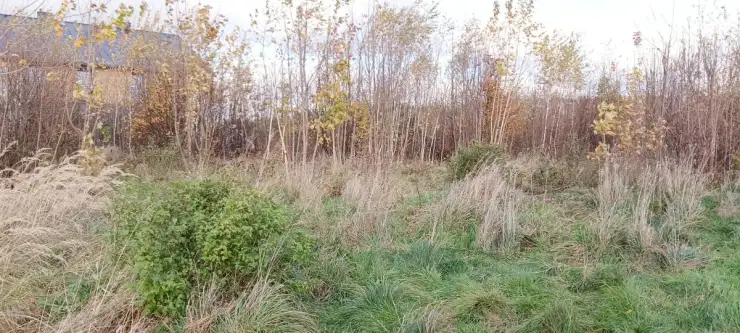 Sychowo ,  Jana Pawła Ii   10