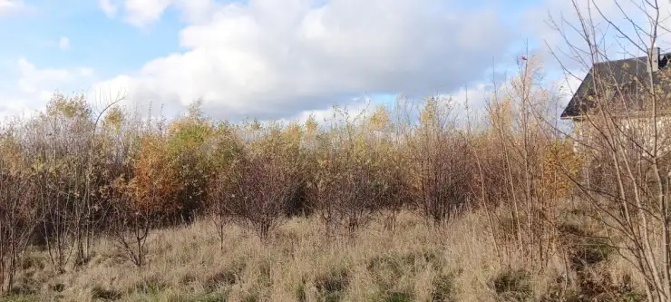 Sychowo ,  Jana Pawła Ii   11