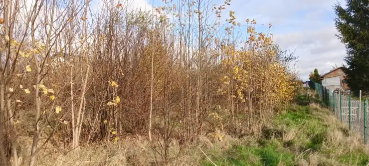 Sychowo ,  Jana Pawła Ii   12