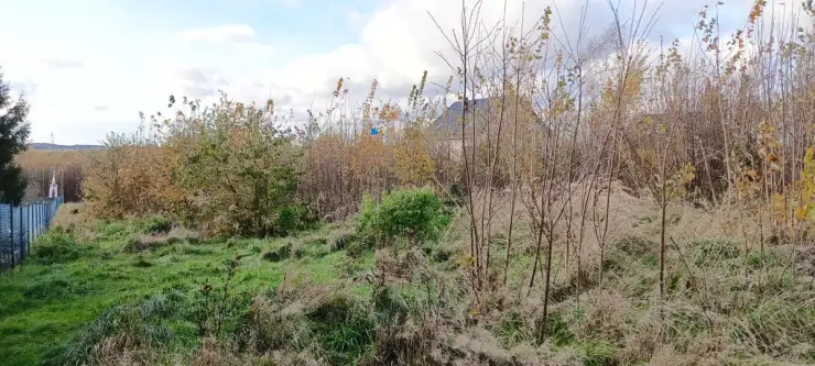 Sychowo ,  Jana Pawła Ii   2