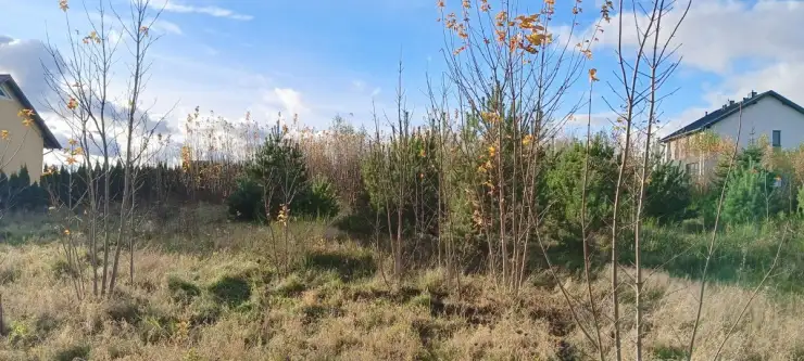 Sychowo ,  Jana Pawła Ii   4