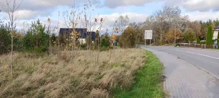 Sychowo ,  Jana Pawła Ii   5