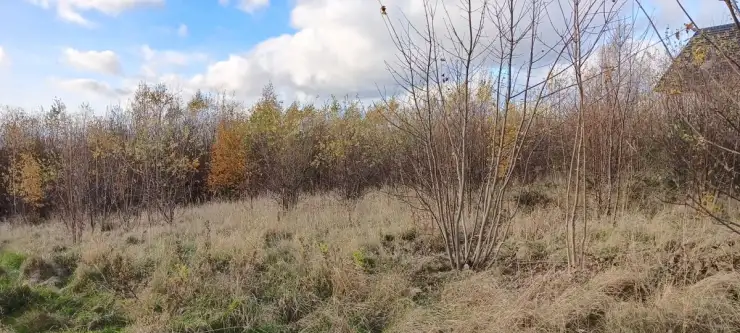 Sychowo ,  Jana Pawła Ii   6