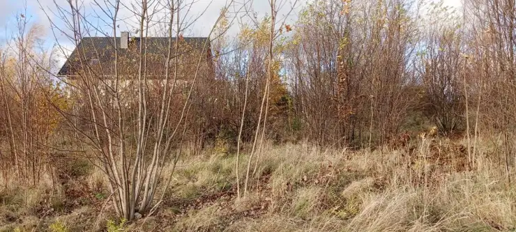 Sychowo ,  Jana Pawła Ii   7