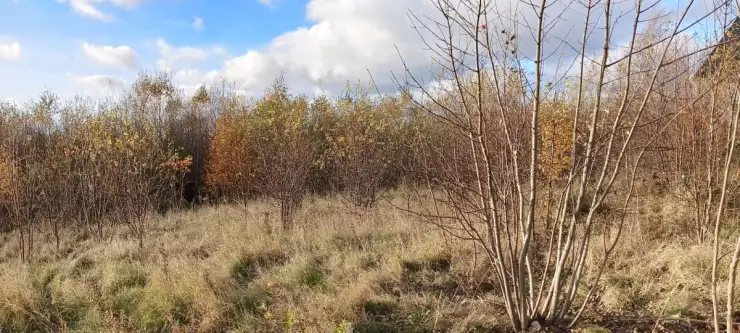 Sychowo ,  Jana Pawła Ii   8