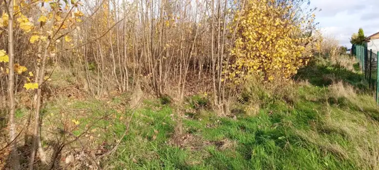 Sychowo ,  Jana Pawła Ii   9