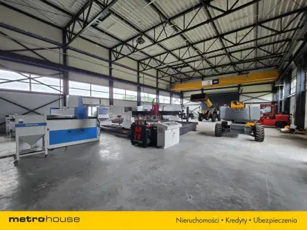 Elbląg ,  Rosnowskiego   6