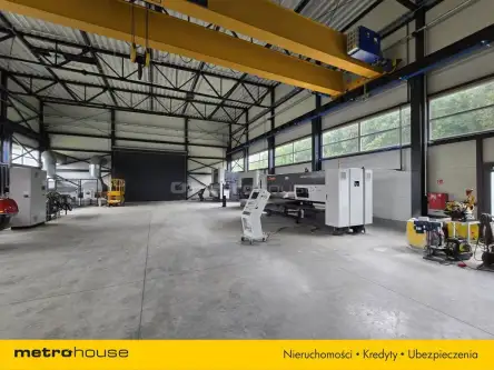 Elbląg ,  Rosnowskiego   7