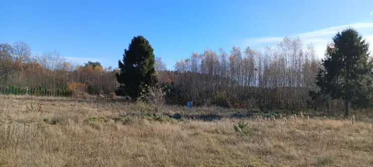 Koleczkowo ,  Spokojna   11