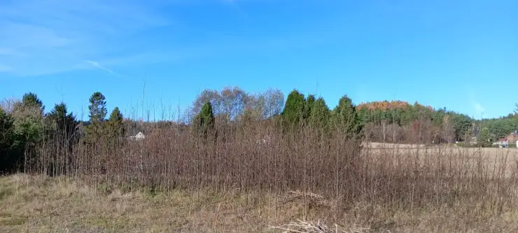 Koleczkowo ,  Spokojna   12