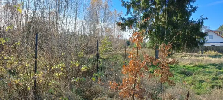 Koleczkowo ,  Spokojna   6