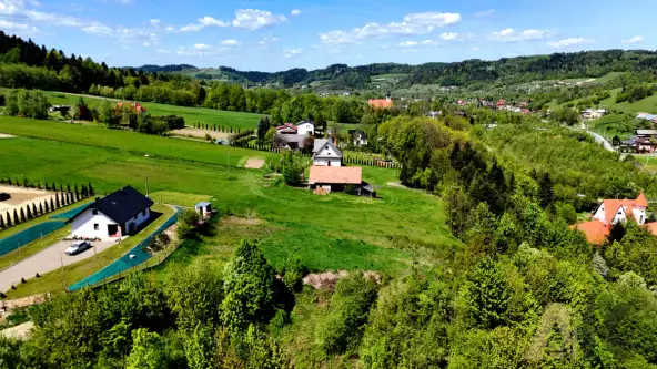 Królowa górna   10