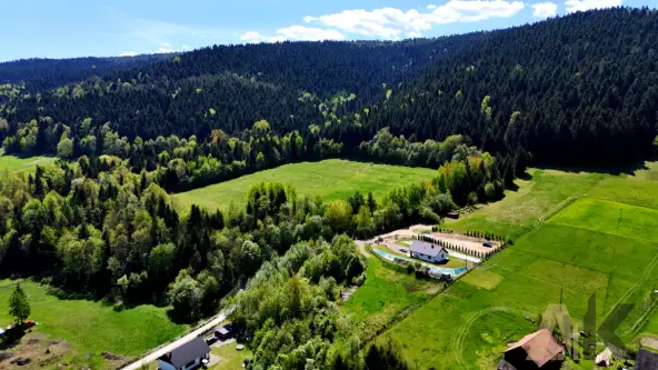 Królowa górna   13