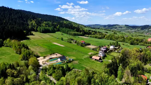 Królowa górna   15