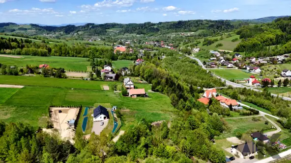 Królowa górna   16