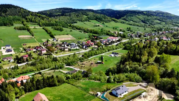 Królowa górna   19