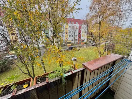 Głogów ,  Andromedy   10